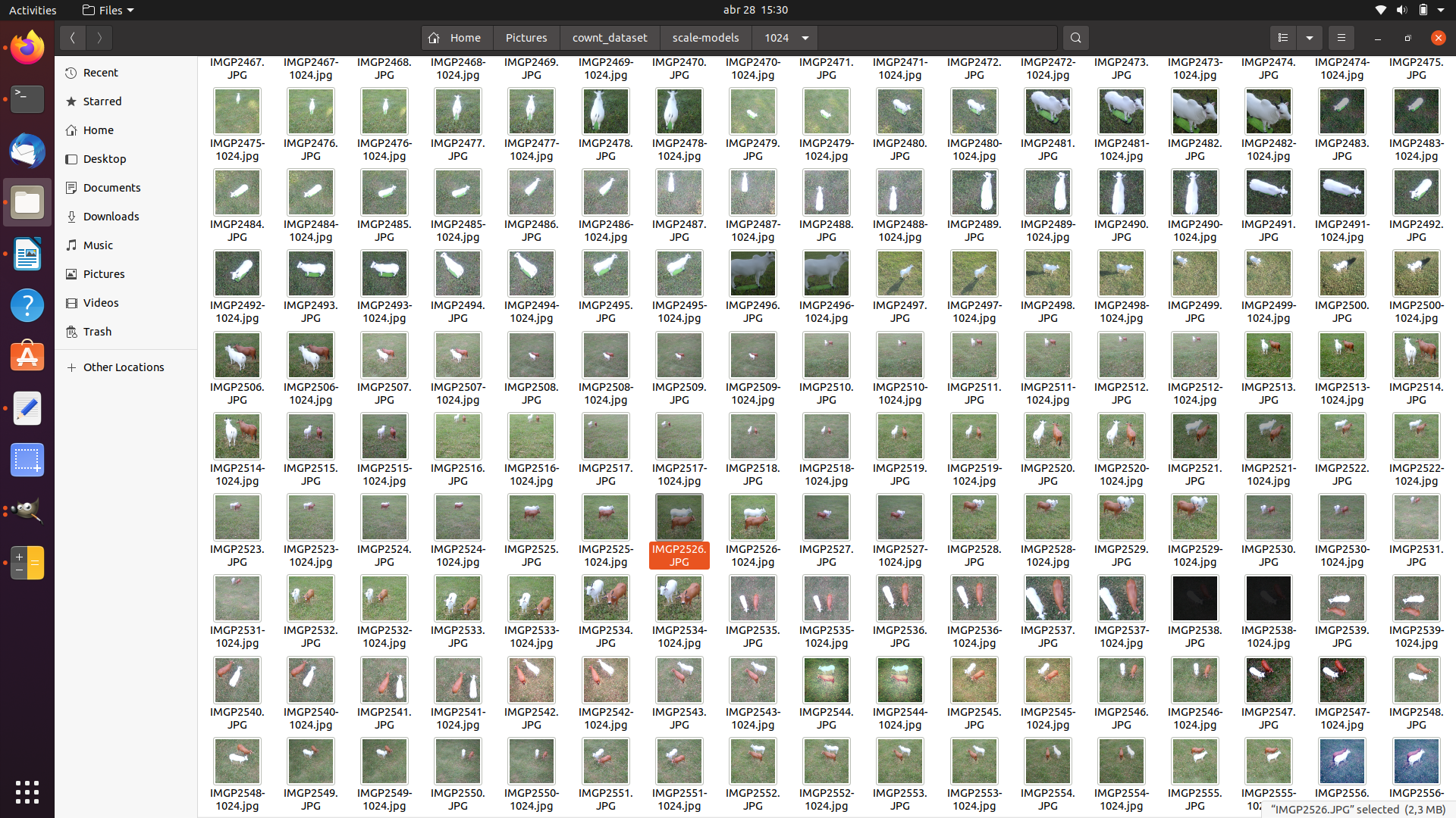 Captura de tela de diretório de imagens